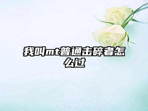 我叫mt普通击碎者怎么过
