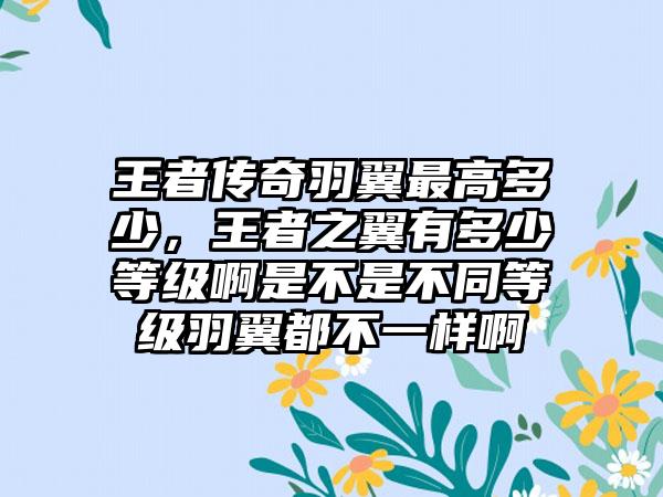 王者传奇羽翼最高多少，王者之翼有多少等级啊是不是不同等级羽翼都不一样啊