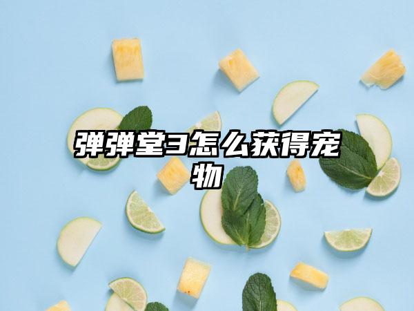 弹弹堂3怎么获得宠物