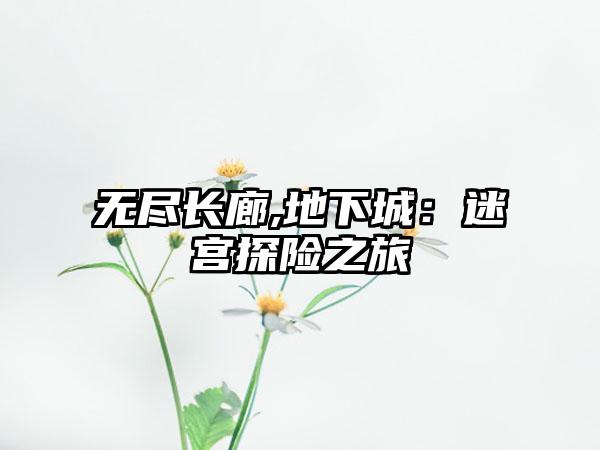 无尽长廊,地下城：迷宫探险之旅