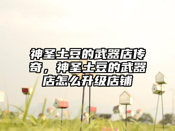 神圣土豆的武器店传奇，神圣土豆的武器店怎么升级店铺