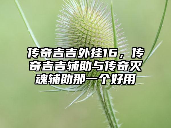 传奇吉吉外挂16，传奇吉吉辅助与传奇灭魂辅助那一个好用