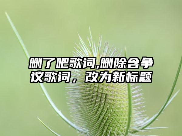 删了吧歌词,删除含争议歌词，改为新标题