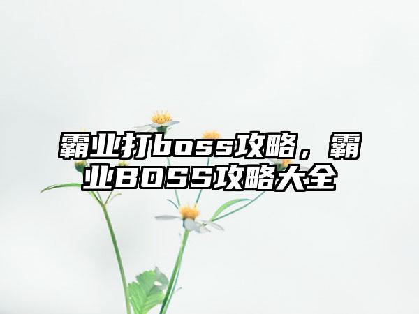 霸业打boss攻略，霸业BOSS攻略大全