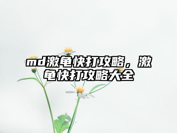 md激龟快打攻略，激龟快打攻略大全