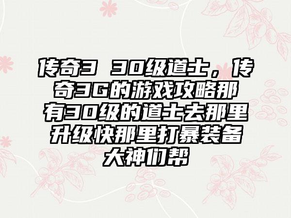 传奇3 30级道士，传奇3G的游戏攻略那有30级的道士去那里升级快那里打暴装备大神们帮