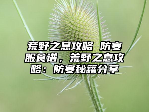 荒野之息攻略 防寒服食谱，荒野之息攻略：防寒秘籍分享