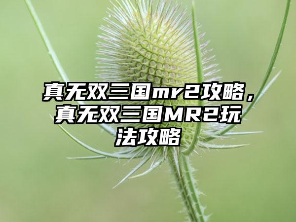 真无双三国mr2攻略，真无双三国MR2玩法攻略