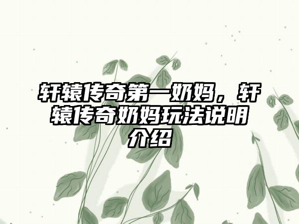轩辕传奇第一奶妈，轩辕传奇奶妈玩法说明介绍