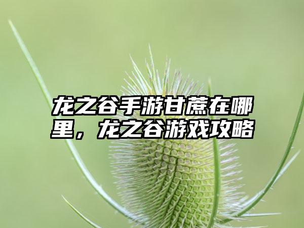 龙之谷手游甘蔗在哪里，龙之谷游戏攻略