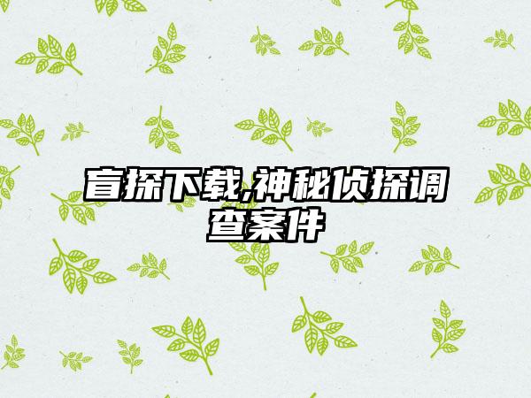 盲探下载,神秘侦探调查案件