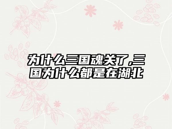 为什么三国魂关了,三国为什么都是在湖北