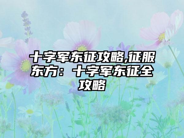 十字军东征攻略,征服东方：十字军东征全攻略