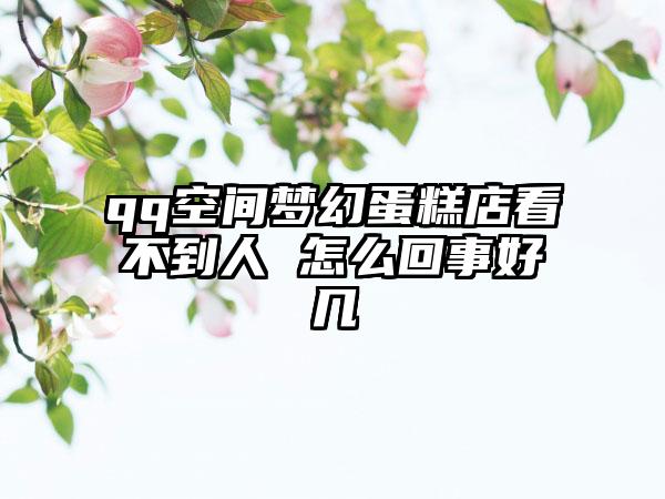 qq空间梦幻蛋糕店看不到人 怎么回事好几