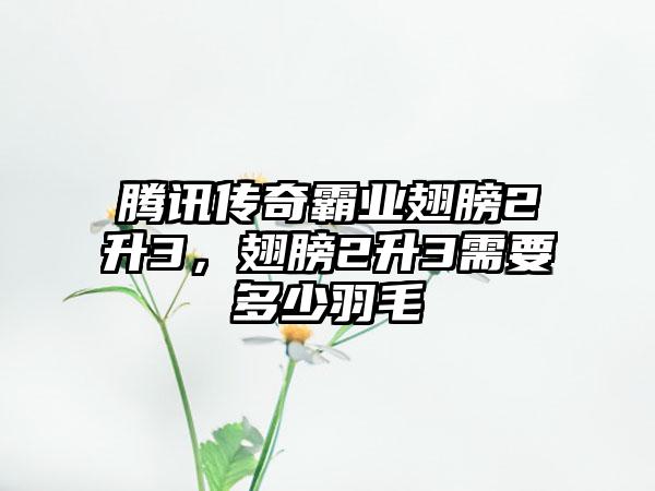 腾讯传奇霸业翅膀2升3，翅膀2升3需要多少羽毛