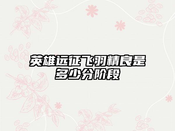 英雄远征飞羽精良是多少分阶段