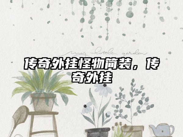 传奇外挂怪物简装，传奇外挂