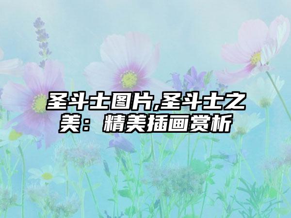 圣斗士图片,圣斗士之美：精美插画赏析