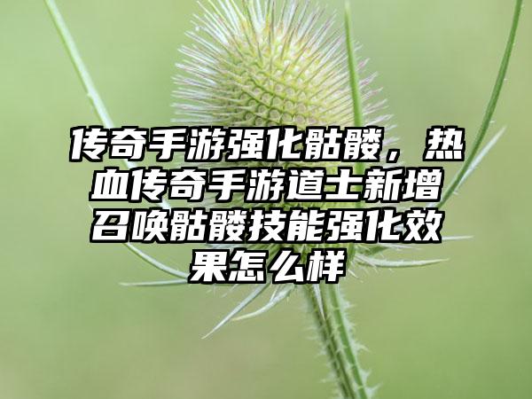 传奇手游强化骷髅，热血传奇手游道士新增召唤骷髅技能强化效果怎么样