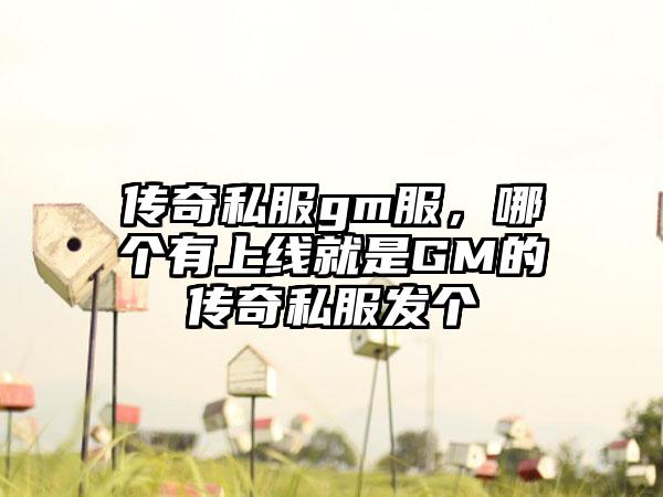传奇私服gm服，哪个有上线就是GM的传奇私服发个