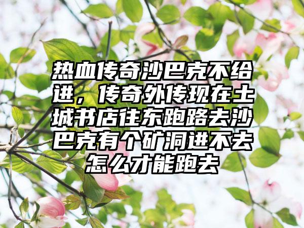 热血传奇沙巴克不给进，传奇外传现在土城书店往东跑路去沙巴克有个矿洞进不去怎么才能跑去