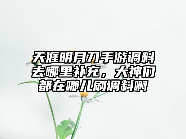 天涯明月刀手游调料去哪里补充，大神们都在哪儿刷调料啊
