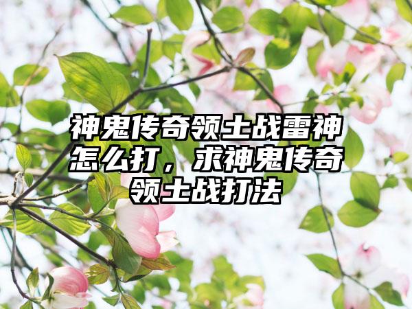 神鬼传奇领土战雷神怎么打，求神鬼传奇领土战打法
