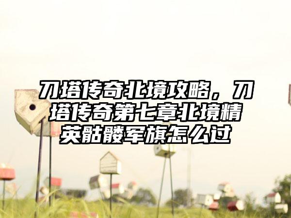 刀塔传奇北境攻略，刀塔传奇第七章北境精英骷髅军旗怎么过
