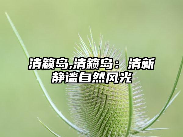 清籁岛,清籁岛：清新静谧自然风光