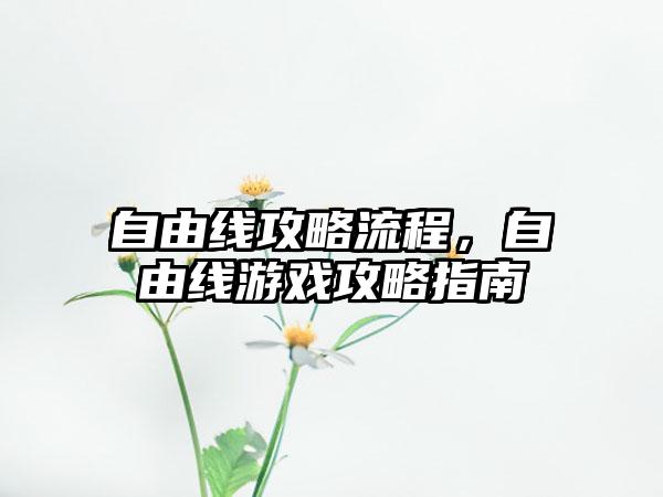 自由线攻略流程，自由线游戏攻略指南