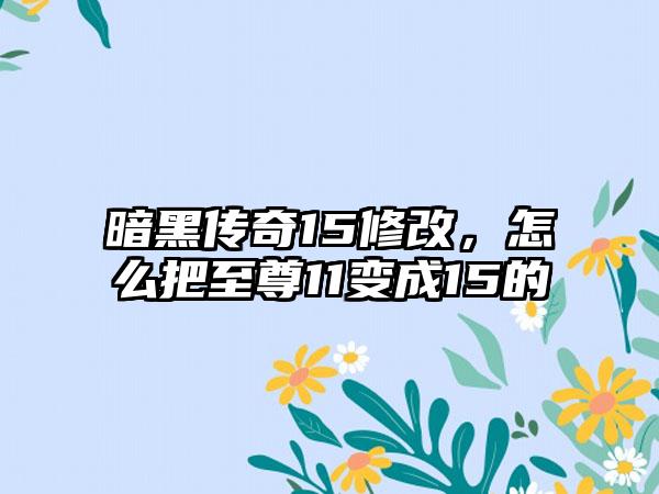 暗黑传奇15修改，怎么把至尊11变成15的