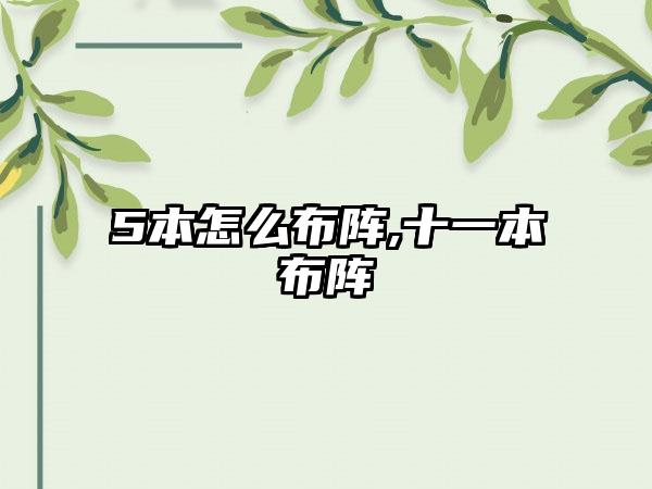 5本怎么布阵,十一本布阵