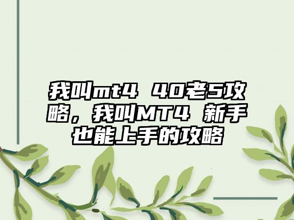 我叫mt4 40老5攻略，我叫MT4 新手也能上手的攻略