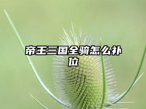 帝王三国全骑怎么补位