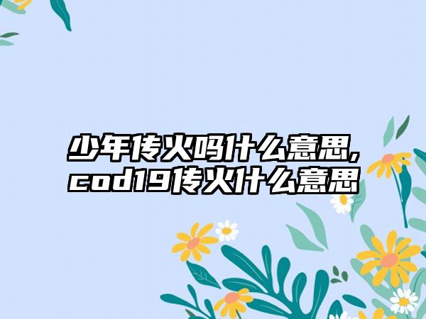 少年传火吗什么意思,cod19传火什么意思