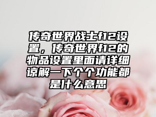 传奇世界战士f12设置，传奇世界f12的物品设置里面请详细谅解一下个个功能都是什么意思