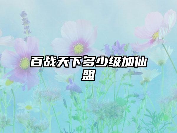 百战天下多少级加仙盟