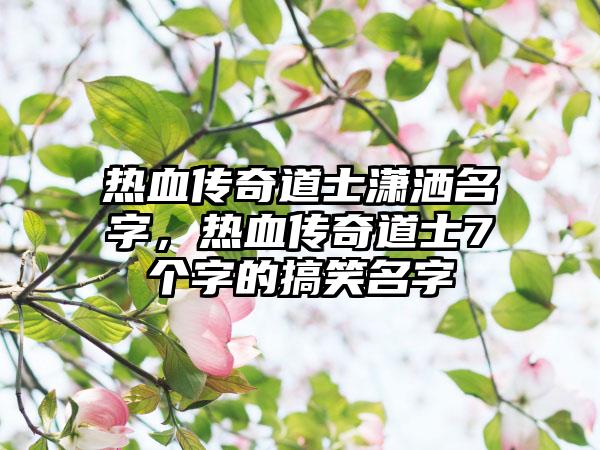 热血传奇道士潇洒名字，热血传奇道士7个字的搞笑名字