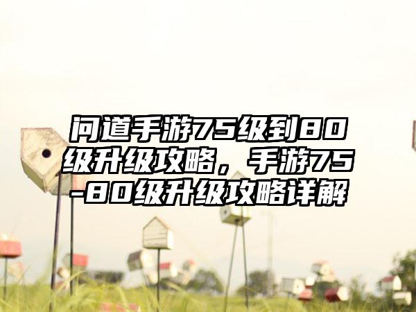 问道手游75级到80级升级攻略，手游75-80级升级攻略详解