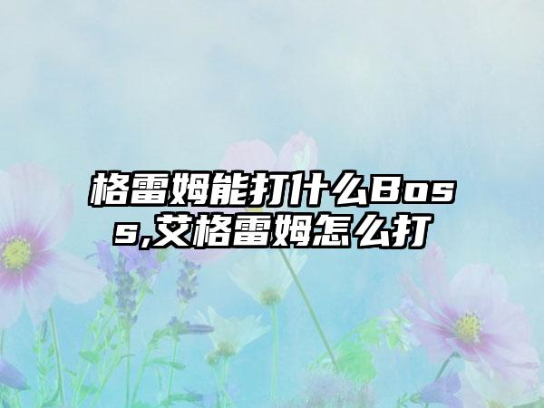 格雷姆能打什么Boss,艾格雷姆怎么打