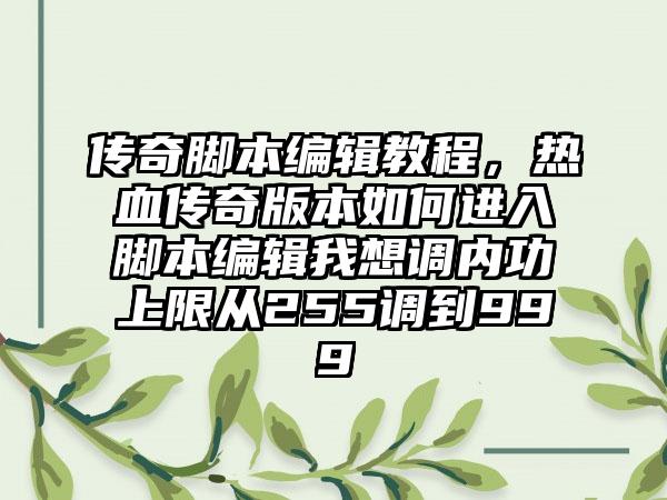 传奇脚本编辑教程，热血传奇版本如何进入脚本编辑我想调内功上限从255调到999