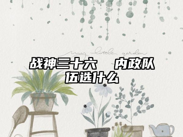 战神三十六  内政队伍选什么