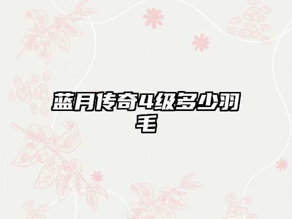 蓝月传奇4级多少羽毛