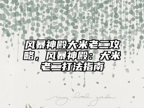 风暴神殿大米老二攻略，风暴神殿：大米老二打法指南