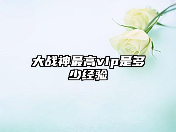 大战神最高vip是多少经验