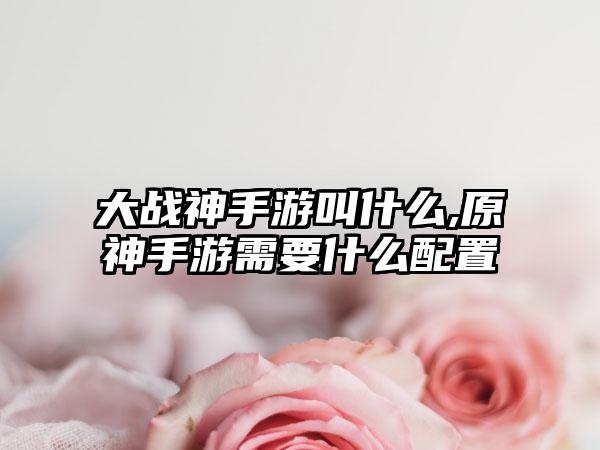 大战神手游叫什么,原神手游需要什么配置