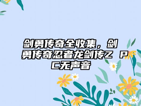 剑勇传奇全收集，剑勇传奇忍者龙剑传Z PC无声音