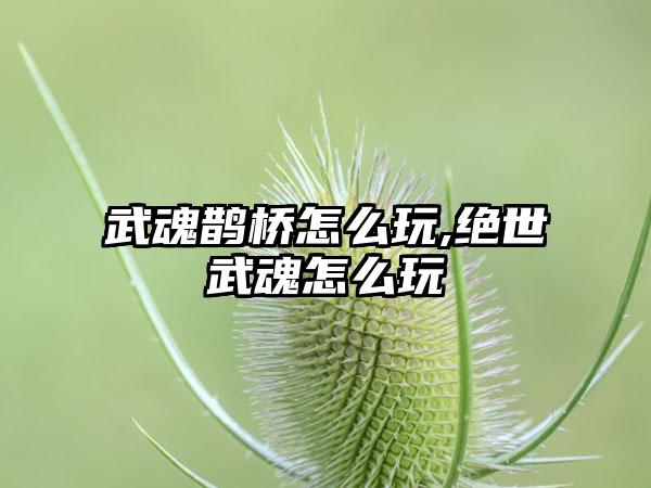 武魂鹊桥怎么玩,绝世武魂怎么玩