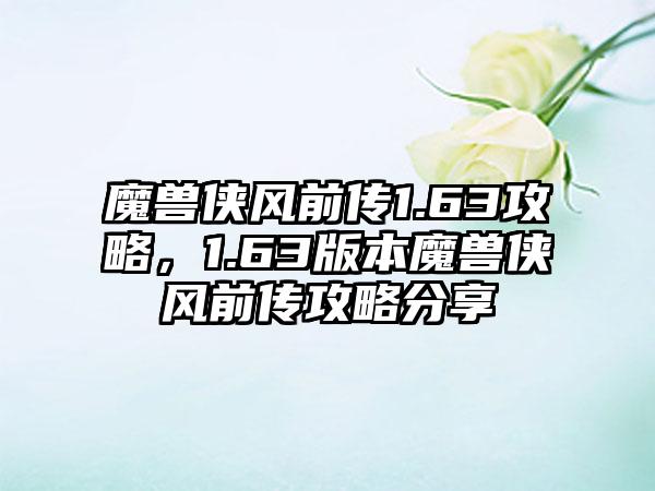 魔兽侠风前传1.63攻略，1.63版本魔兽侠风前传攻略分享