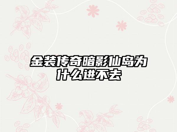金装传奇暗影仙岛为什么进不去